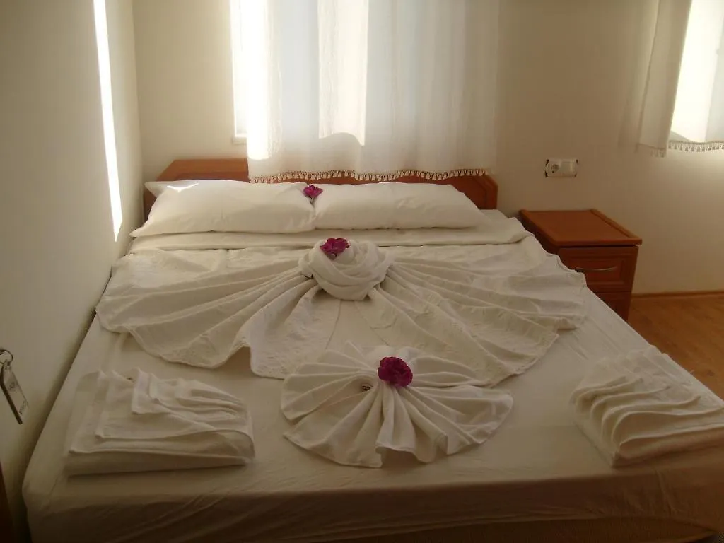 Alo 24 Hotel contacts